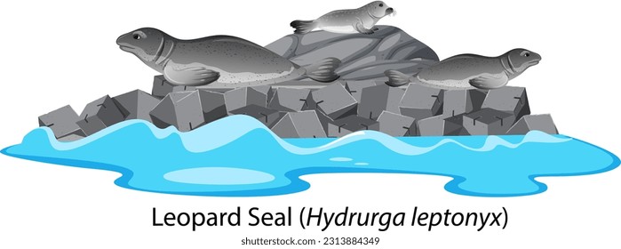Leopard seal cartoon on the isolated island illustration
