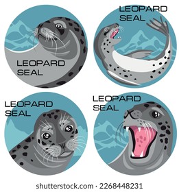 Leopard Seal Cartoon Vector Illustration. Sea animals vector. Leopard Seal logo. Animals cartoon