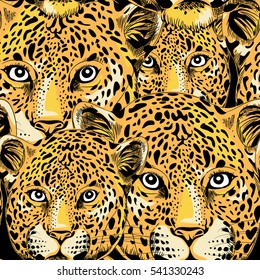 Leopard seamless pattern. Vector illustration on black background