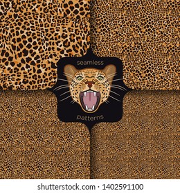 Leopard seampless patterns. Animal prints. Leopard or Jaguar Portrait. Angry wild big cat. Face of predator. Vector illustration.