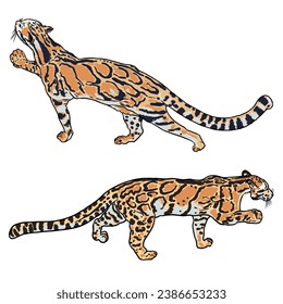 Leopard set, wild cat drawing, Clouded leopard from Himalayan. Hand drawn wildcat hunting. Vector.