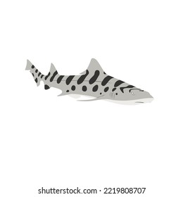 The leopard shark, Triakis semifasciata  inhabit in sandy or muddy bays and estuaries either at or near the bottom.  It also called leopard catshark