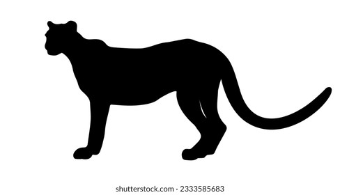Leopard silhouette isolated on white background. Vector illustration