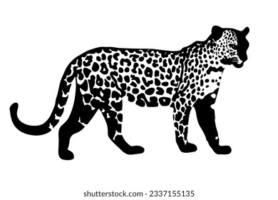 Leopard silhouette isolated on white background. Vector illustration