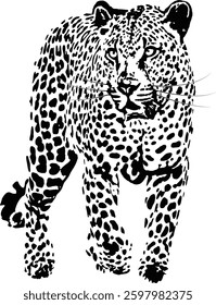 Leopard silhouette standing in black vector with outlined spots and minimal details. Bold and stylish single-color design, perfect for fashion, posters, prints, branding, and modern graphic projects.