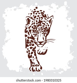 Leopard simple sketch drawing on a white background. Wild animal drawing.