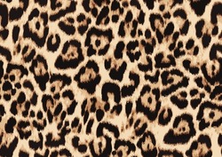 Leopard Skin Pattern, Animal Leather Design