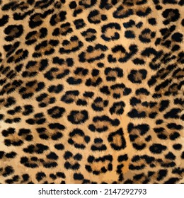 Patrón de piel de leopardo, textura de cuero animal diseño sin fisuras