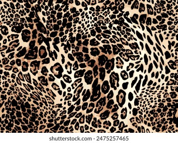 Leopard skin pattern, animal leather design