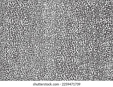 Leopard skin pattern design. Vector illustration background. For print, textile, web, home decor, fashion, surface, graphic design