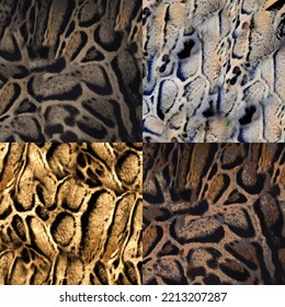 Leopard skin pattern texture, Fashionable print 