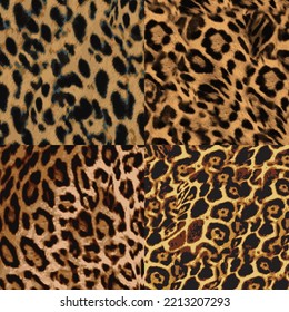 Leopard skin pattern texture, Fashionable print 