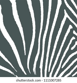 Leopard skin texture