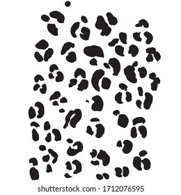 leopard skin texture american exotic animal