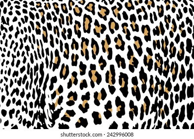 Leopard skin vector