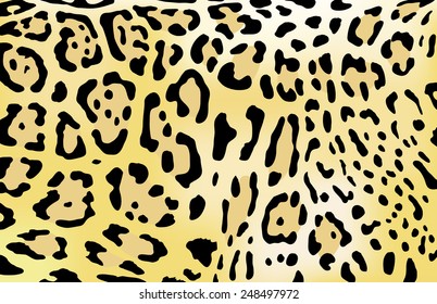 Leopard skin vector