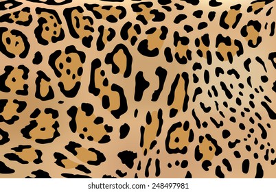 Leopard skin vector