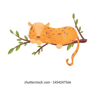 Leopard is sleeping on a branch. Vector illustration on white background.