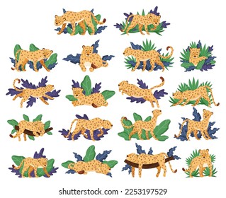 Leopard with Spotted Coat in Tropical Exotic Foliage Big Vector Set