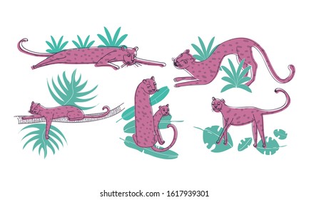 Leopard Standing and Lying on Palm Leaves Vector Set. Stylized Funny African Animal