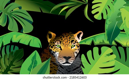 leopard stands among plants frame in the black jungle background vector