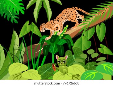 Leopard and tarsier in the night jungle, wildlife theme, backgound. Vector