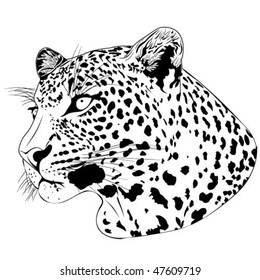 Leopard, tattoo