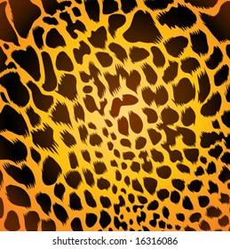 leopard texture