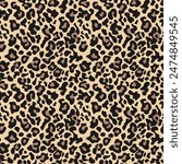 
Leopard texture, animal print, seamless background