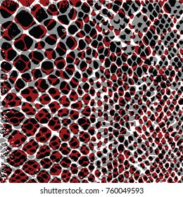 Leopard texture, Leopard pattern