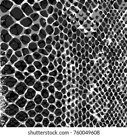 Leopard texture, Leopard pattern