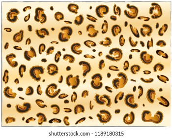 Leopard texture pattern design. Vector illustration background