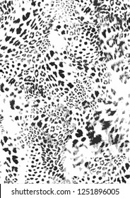 Leopard Trend Fashion