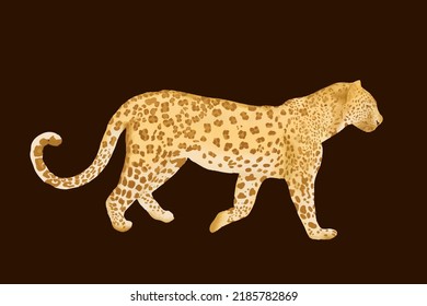 leopard vector hand drawing in watercolor