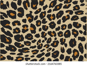 leopard vector hand drawn design