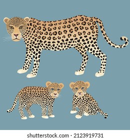 Leopardo. Ilustración vectorial. Aislado. Madre y sus bebés.