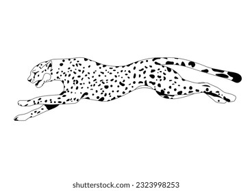 Leopard vector illustration logo, sign, emblem isolated on white background.