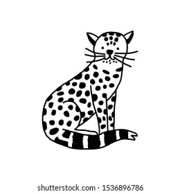 Leopard vector illustration on white background. Jaguar, puma, wild cat,mountain lion is hand drawn in doodle, line style. Isolated animal is ready for your design, print,wallpaper. EPS10