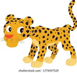 Leopard Vector illustration on white background