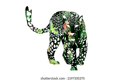 Leopard vector jungle wildlife concept image isolated