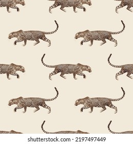 Leopard vector pattern isolated on Off White background. Design for use backdrop wrapping paper all over textile fabric print and others