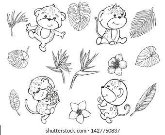 leopard, vector set. Fun wild jungle animals in cartoony style for your textile, scrapbook paper, web and stationary design, adult coloring book