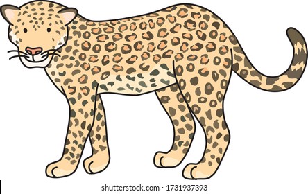 Un leopardo es un tártaro felino vívidamente estampado.