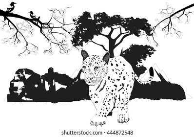 Leopard walking forest on background, tree branches, vector illustration