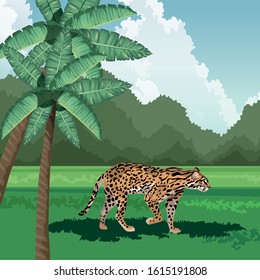 leopard walking grass palms tree tropical fauna and flora landscape vector illustration