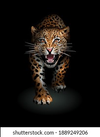 leopard walking toward in shadow illustration