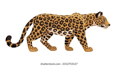 Leopard walking vector illustration. African leopard side view isolated on white background. Stock vector.