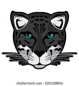 Leopard Wild animal
