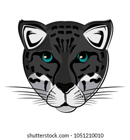 Leopard Wild animal