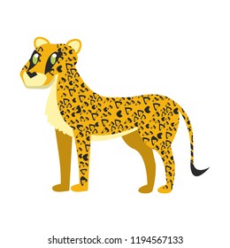 Leopard wild animal